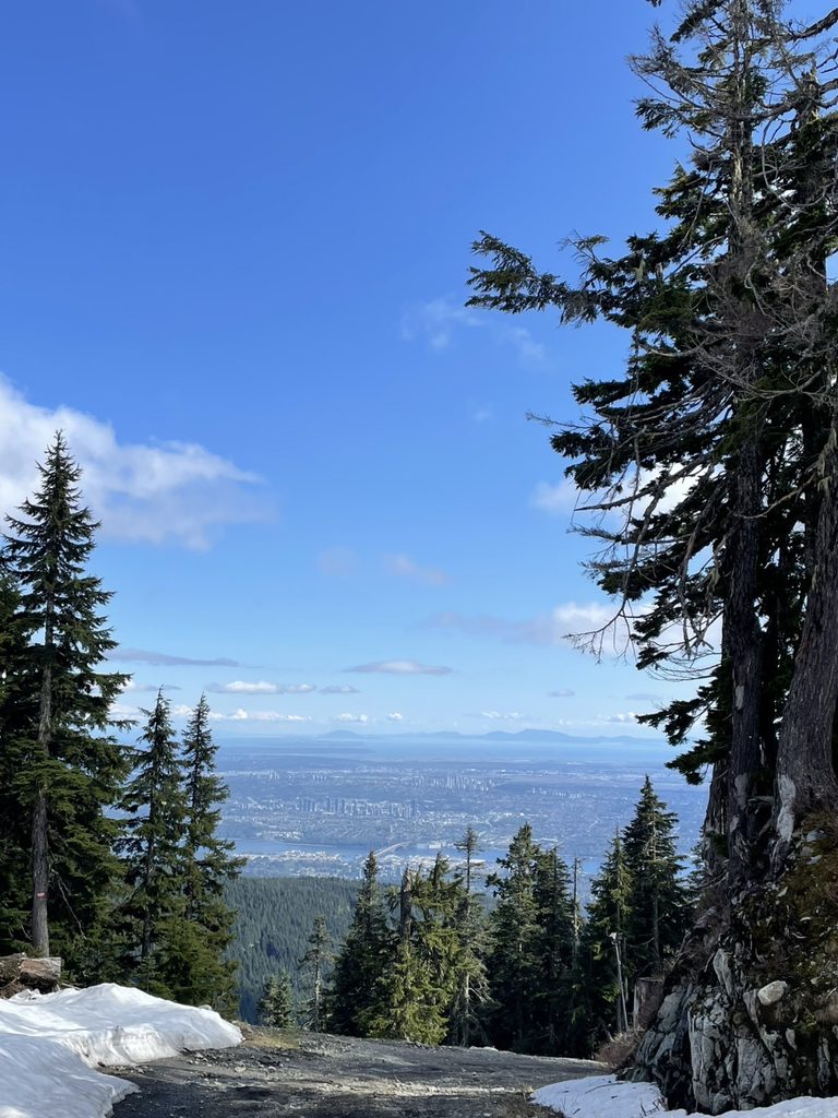 バンクーバーの山から見た風景